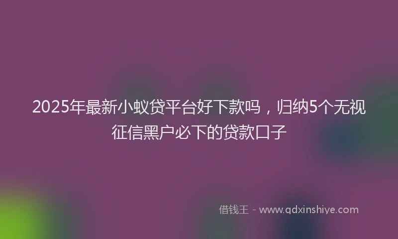 2025年最新小蚁贷平台好下款吗，归纳5个无视征信黑户必下的贷款口子
