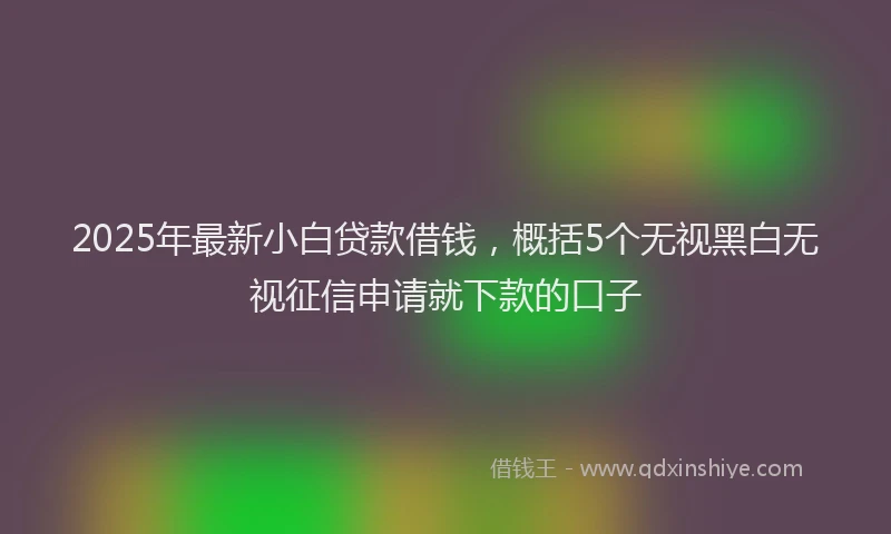 2025年最新小白贷款借钱，概括5个无视黑白无视征信申请就下款的口子