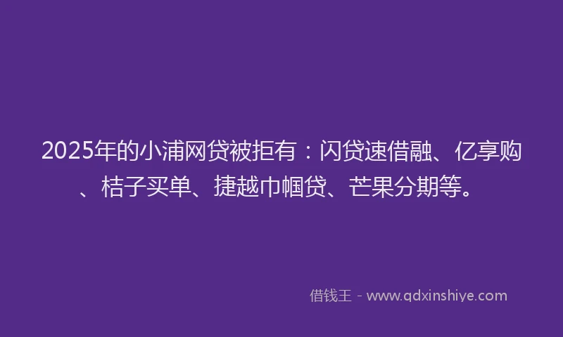 2025年的小浦网贷被拒有：闪贷速借融、亿享购、桔子买单、捷越巾帼贷、芒果分期等。