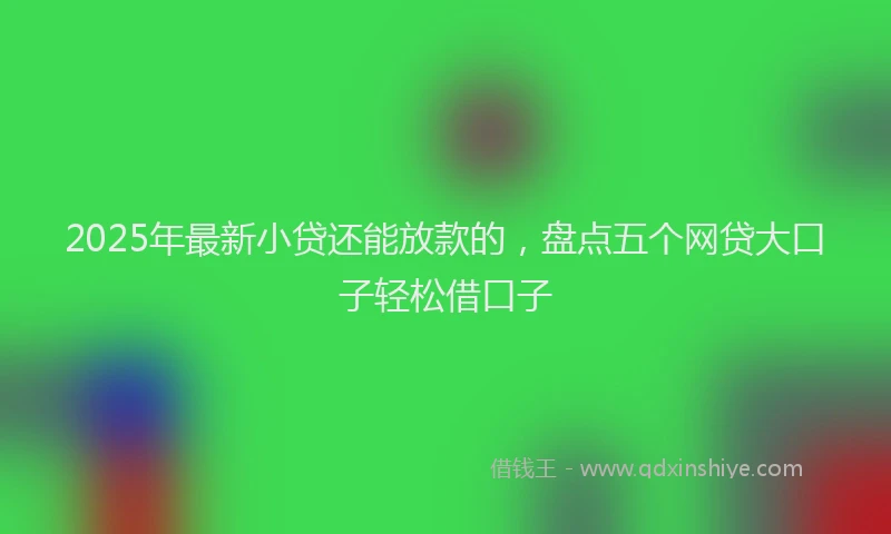 2025年最新小贷还能放款的，盘点五个网贷大口子轻松借口子