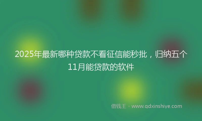2025年最新哪种贷款不看征信能秒批，归纳五个11月能贷款的软件