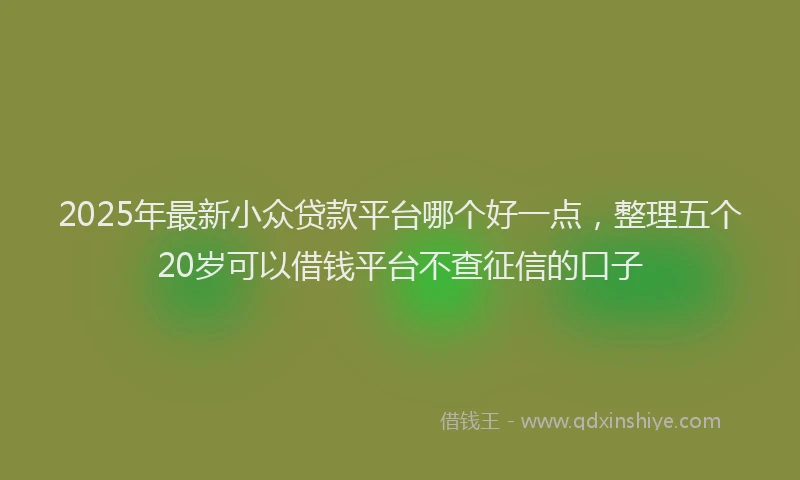 2025年最新小众贷款平台哪个好一点，整理五个20岁可以借钱平台不查征信的口子