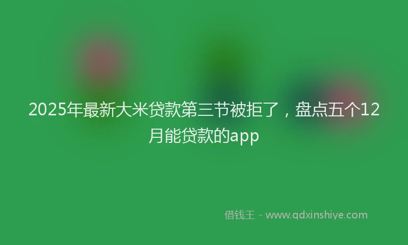 2025年最新大米贷款第三节被拒了，盘点五个12月能贷款的app