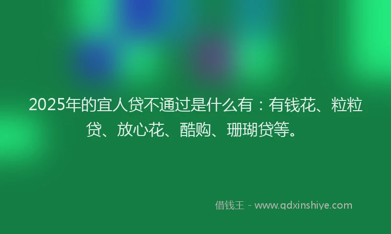 2025年的宜人贷不通过是什么有：有钱花、粒粒贷、放心花、酷购、珊瑚贷等。