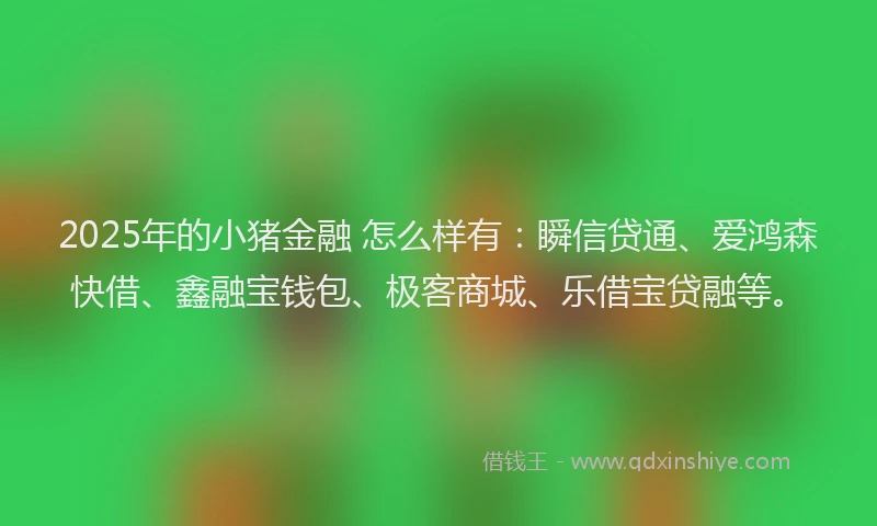 2025年的小猪金融 怎么样有：瞬信贷通、爱鸿森快借、鑫融宝钱包、极客商城、乐借宝贷融等。