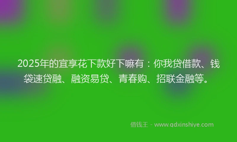2025年的宜享花下款好下嘛有：你我贷借款、钱袋速贷融、融资易贷、青春购、招联金融等。