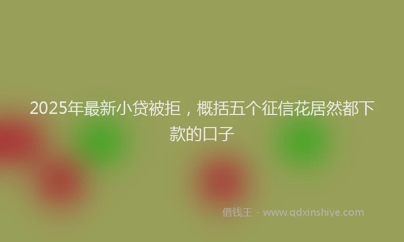 2025年最新小贷被拒，概括五个征信花居然都下款的口子