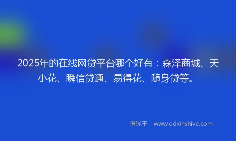 2025年的在线网贷平台哪个好有：森泽商城、天小花、瞬信贷通、易得花、随身贷等。