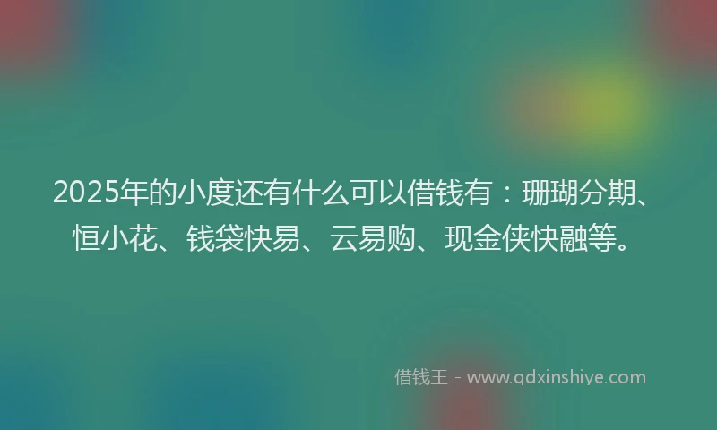 2025年的小度还有什么可以借钱有：珊瑚分期、恒小花、钱袋快易、云易购、现金侠快融等。