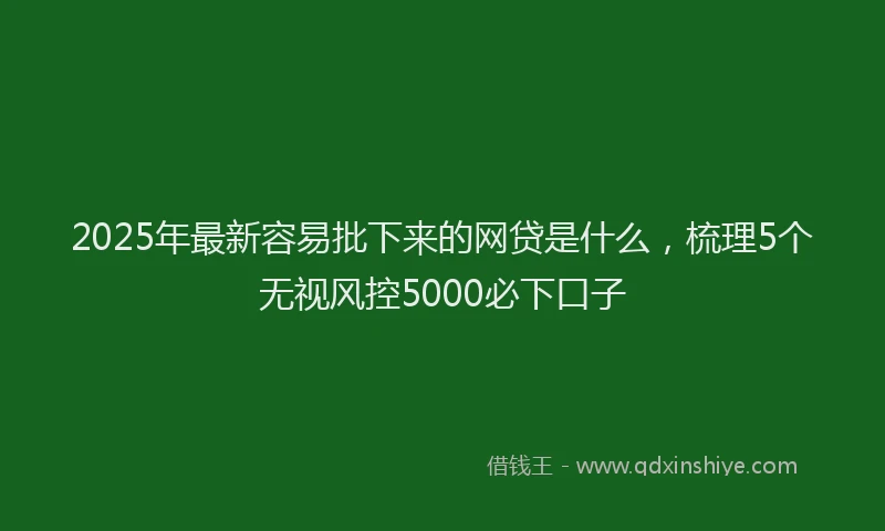 2025年最新容易批下来的网贷是什么，梳理5个无视风控5000必下口子