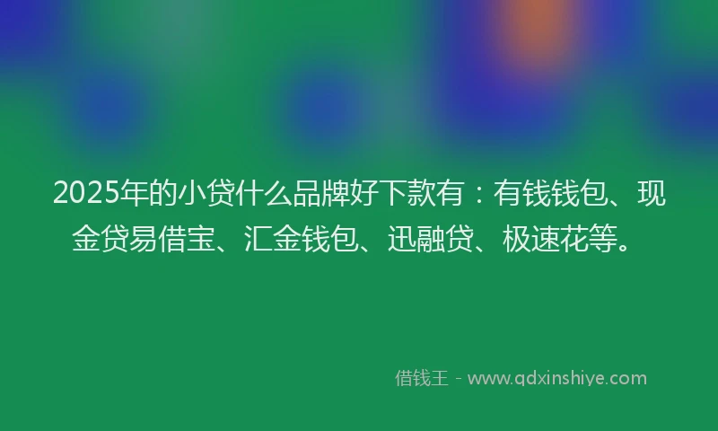 2025年的小贷什么品牌好下款有：有钱钱包、现金贷易借宝、汇金钱包、迅融贷、极速花等。