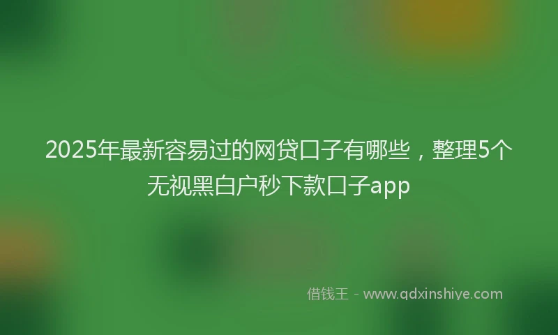 2025年最新容易过的网贷口子有哪些，整理5个无视黑白户秒下款口子app