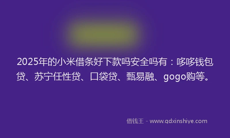 2025年的小米借条好下款吗安全吗有：哆哆钱包贷、苏宁任性贷、口袋贷、甄易融、gogo购等。