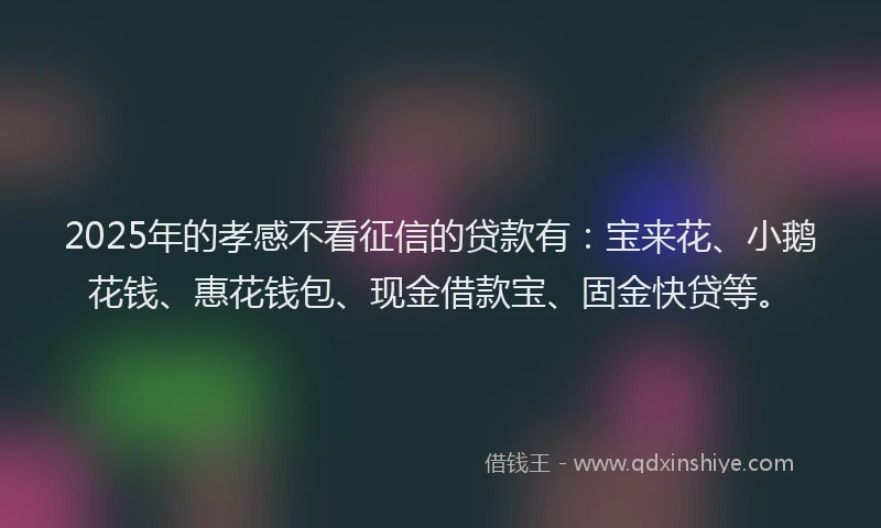 2025年的孝感不看征信的贷款有：宝来花、小鹅花钱、惠花钱包、现金借款宝、固金快贷等。