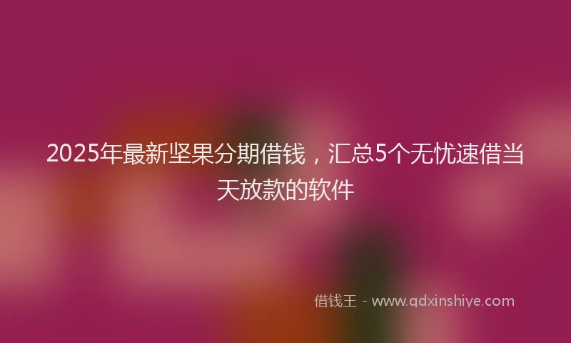 2025年最新坚果分期借钱，汇总5个无忧速借当天放款的软件