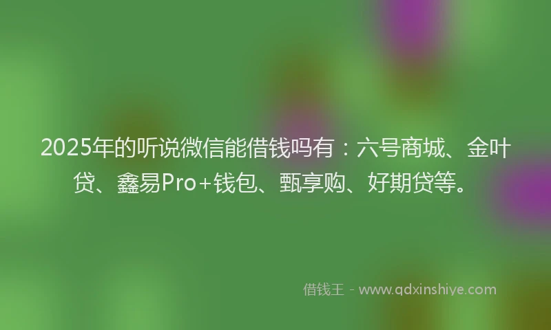 2025年的听说微信能借钱吗有：六号商城、金叶贷、鑫易Pro+钱包、甄享购、好期贷等。
