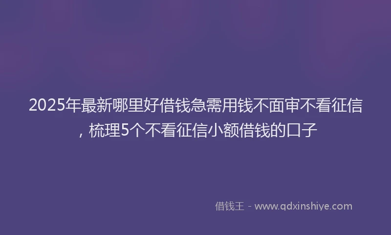 2025年最新哪里好借钱急需用钱不面审不看征信，梳理5个不看征信小额借钱的口子
