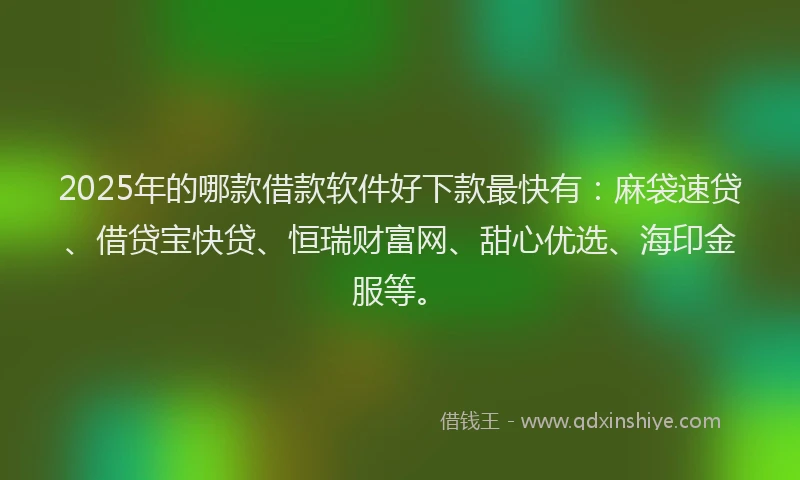 2025年的哪款借款软件好下款最快有：麻袋速贷、借贷宝快贷、恒瑞财富网、甜心优选、海印金服等。