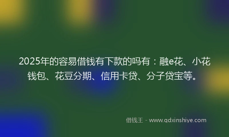 2025年的容易借钱有下款的吗有：融e花、小花钱包、花豆分期、信用卡贷、分子贷宝等。