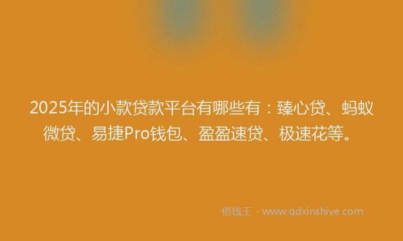 2025年的小款贷款平台有哪些有：臻心贷、蚂蚁微贷、易捷Pro钱包、盈盈速贷、极速花等。