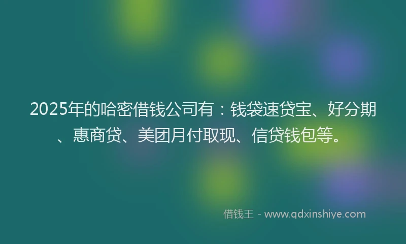 2025年的哈密借钱公司有：钱袋速贷宝、好分期、惠商贷、美团月付取现、信贷钱包等。