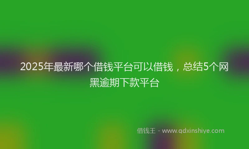 2025年最新哪个借钱平台可以借钱，总结5个网黑逾期下款平台