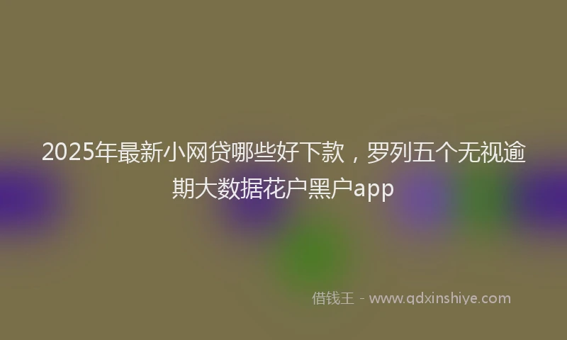 2025年最新小网贷哪些好下款，罗列五个无视逾期大数据花户黑户app