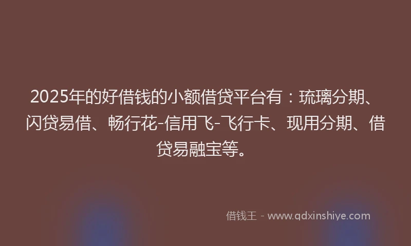 2025年的好借钱的小额借贷平台有：琉璃分期、闪贷易借、畅行花-信用飞-飞行卡、现用分期、借贷易融宝等。