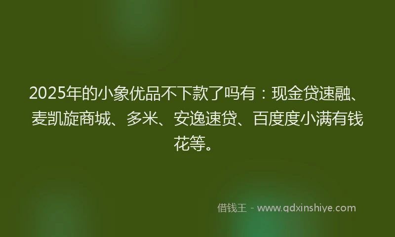 2025年的小象优品不下款了吗有：现金贷速融、麦凯旋商城、多米、安逸速贷、百度度小满有钱花等。
