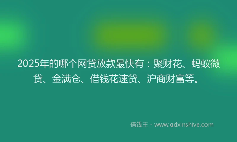 2025年的哪个网贷放款最快有：聚财花、蚂蚁微贷、金满仓、借钱花速贷、沪商财富等。