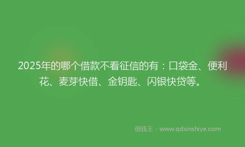 2025年的哪个借款不看征信的有：口袋金、便利花、麦芽快借、金钥匙、闪银快贷等。