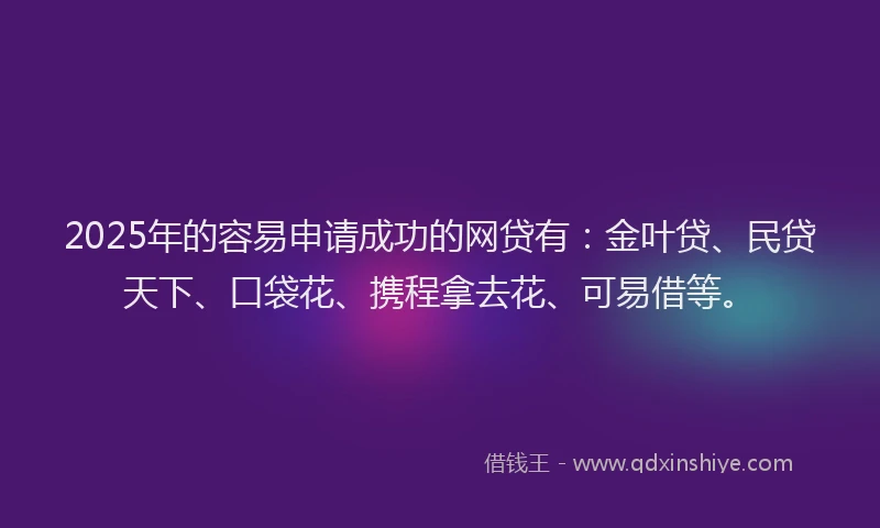 2025年的容易申请成功的网贷有：金叶贷、民贷天下、口袋花、携程拿去花、可易借等。