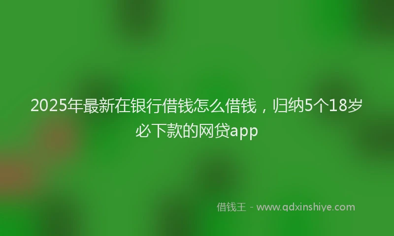 2025年最新在银行借钱怎么借钱，归纳5个18岁必下款的网贷app