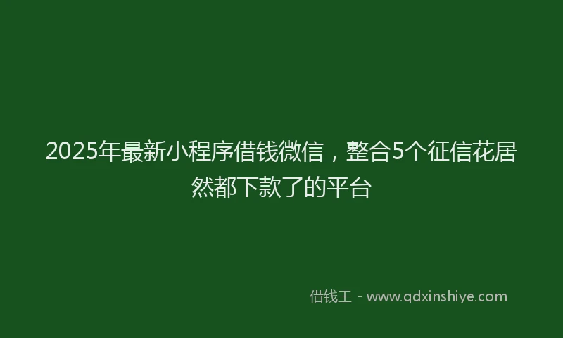2025年最新小程序借钱微信，整合5个征信花居然都下款了的平台