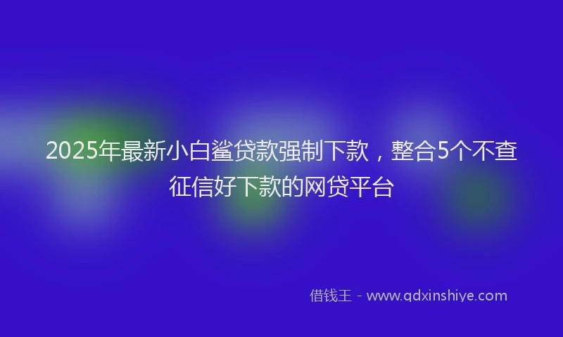 2025年最新小白鲨贷款强制下款，整合5个不查征信好下款的网贷平台