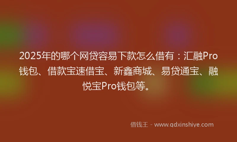2025年的哪个网贷容易下款怎么借有：汇融Pro钱包、借款宝速借宝、新鑫商城、易贷通宝、融悦宝Pro钱包等。