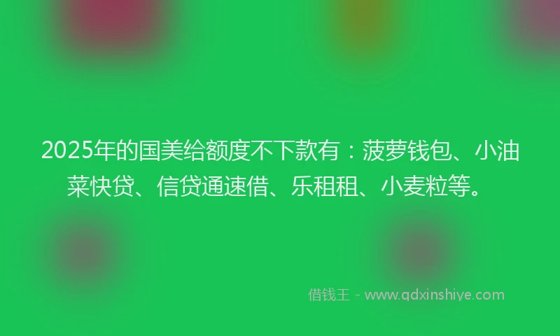 2025年的国美给额度不下款有：菠萝钱包、小油菜快贷、信贷通速借、乐租租、小麦粒等。
