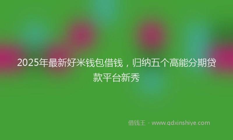 2025年最新好米钱包借钱，归纳五个高能分期贷款平台新秀
