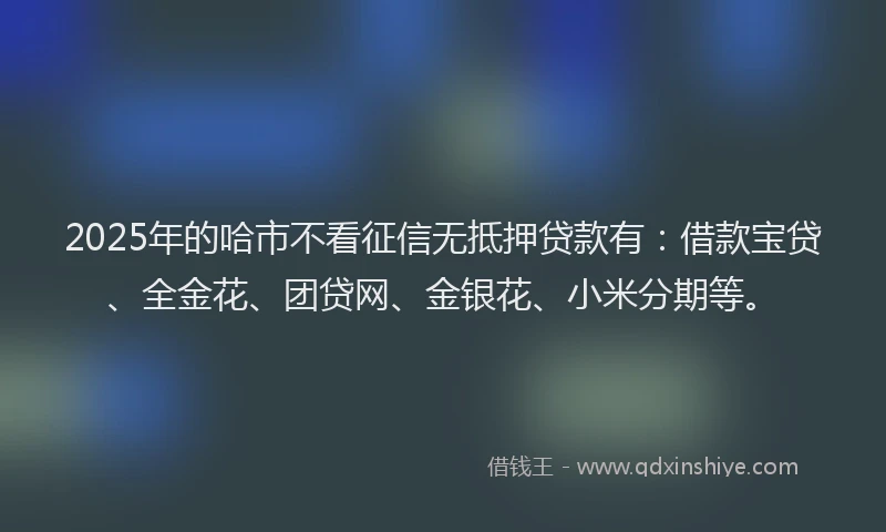 2025年的哈市不看征信无抵押贷款有：借款宝贷、全金花、团贷网、金银花、小米分期等。