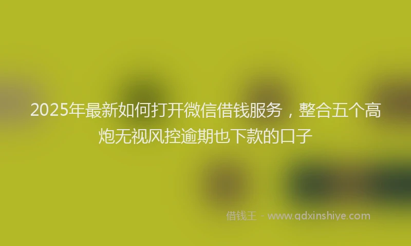 2025年最新如何打开微信借钱服务，整合五个高炮无视风控逾期也下款的口子