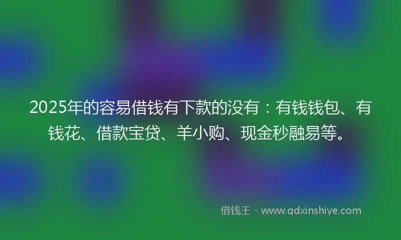 2025年的容易借钱有下款的没有：有钱钱包、有钱花、借款宝贷、羊小购、现金秒融易等。