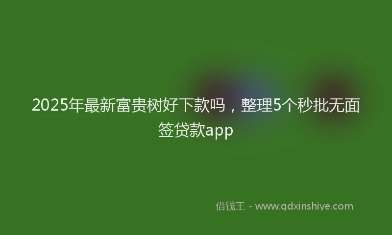2025年最新富贵树好下款吗，整理5个秒批无面签贷款app