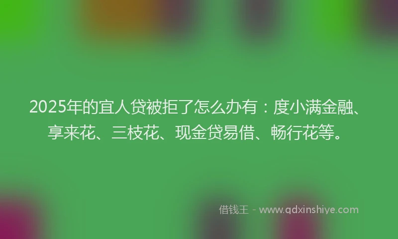2025年的宜人贷被拒了怎么办有：度小满金融、享来花、三枝花、现金贷易借、畅行花等。