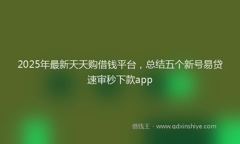 2025年最新天天购借钱平台，总结五个新号易贷速审秒下款app