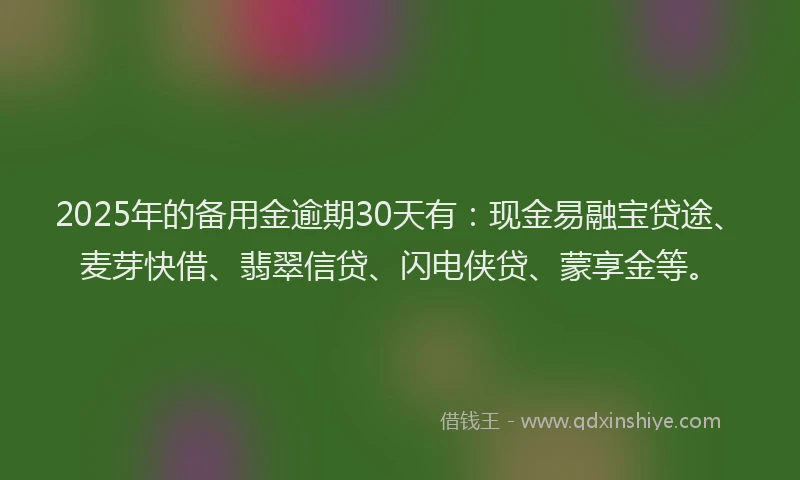 2025年的备用金逾期30天有：现金易融宝贷途、麦芽快借、翡翠信贷、闪电侠贷、蒙享金等。