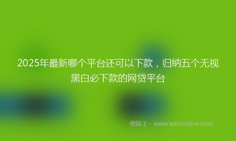 2025年最新哪个平台还可以下款，归纳五个无视黑白必下款的网贷平台