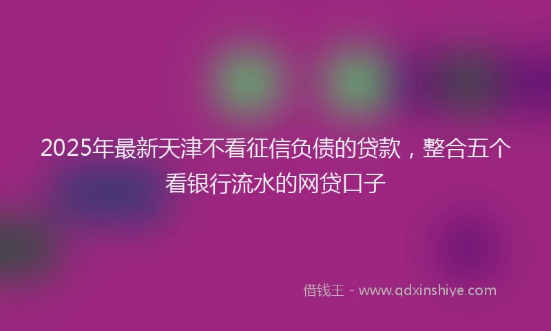 2025年最新天津不看征信负债的贷款，整合五个看银行流水的网贷口子