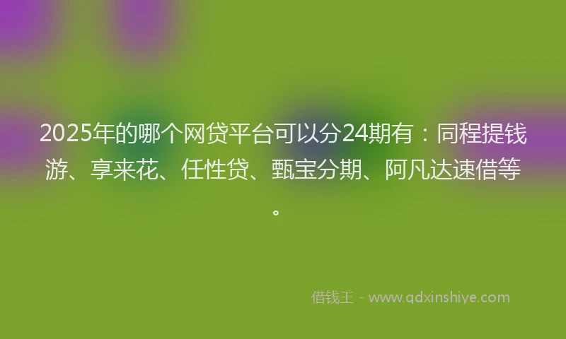 2025年的哪个网贷平台可以分24期有：同程提钱游、享来花、任性贷、甄宝分期、阿凡达速借等。