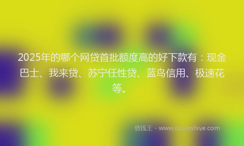 2025年的哪个网贷首批额度高的好下款有：现金巴士、我来贷、苏宁任性贷、蓝鸟信用、极速花等。