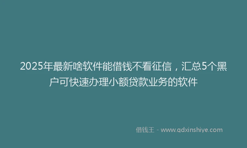 2025年最新啥软件能借钱不看征信，汇总5个黑户可快速办理小额贷款业务的软件